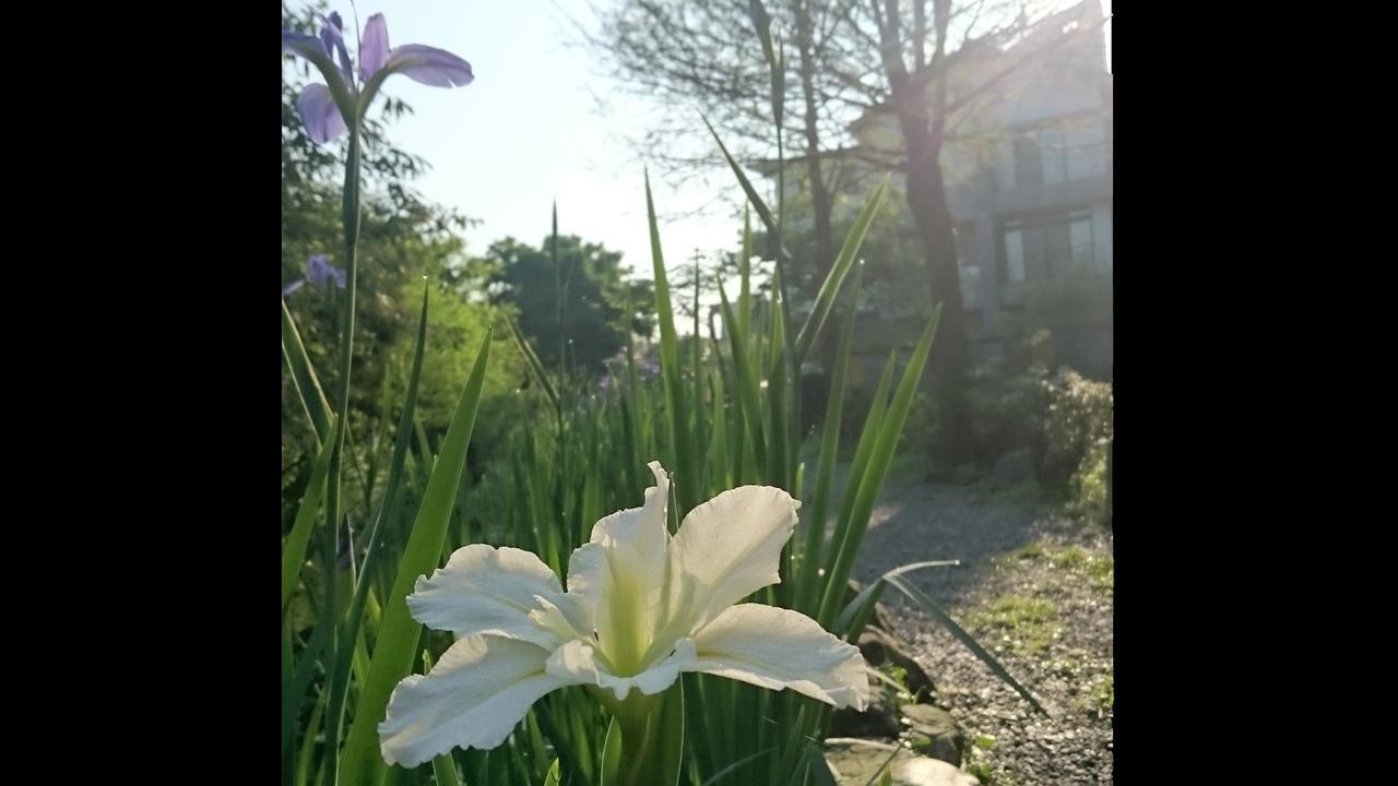Stone House Homestay Yilan Eksteriør bilde